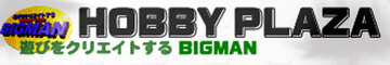 HOBBY HOUSE BIGMAN