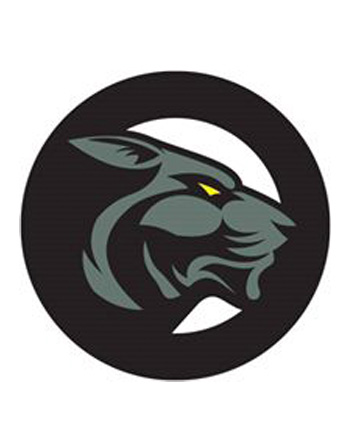 Softair Store
